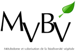 mvbv2